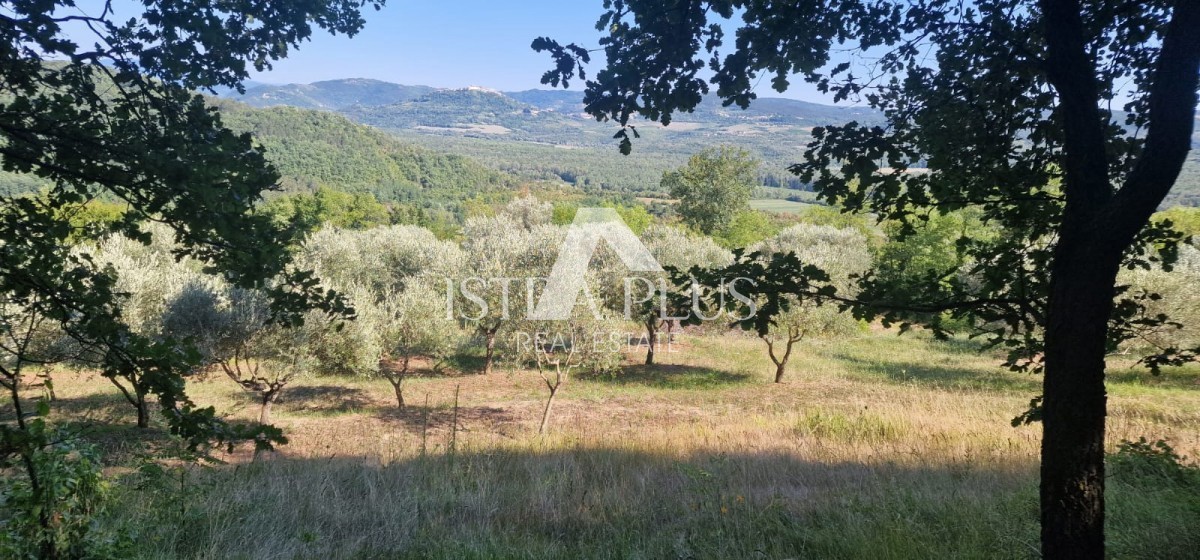 Edinstvena nepremičnina, veliko gradbeno zemljišče in velika kmetijska + kamnita hiša na hribu s pogledom na Motovun