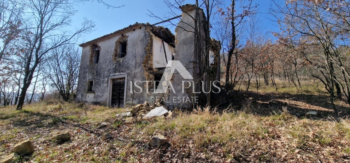 Edinstvena nepremičnina, veliko gradbeno zemljišče in velika kmetijska + kamnita hiša na hribu s pogledom na Motovun