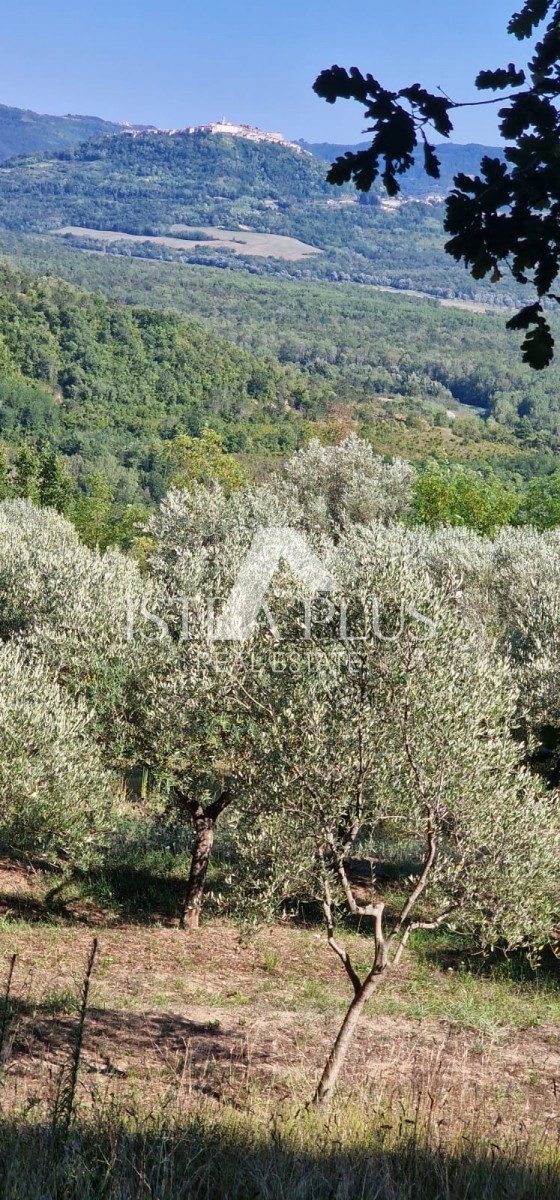 Edinstvena nepremičnina, veliko gradbeno zemljišče in velika kmetijska + kamnita hiša na hribu s pogledom na Motovun