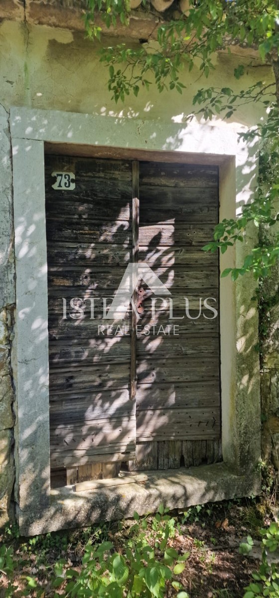 Edinstvena nepremičnina, veliko gradbeno zemljišče in velika kmetijska + kamnita hiša na hribu s pogledom na Motovun