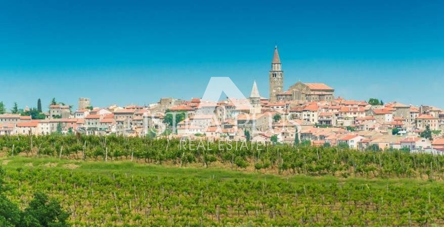 Istra, Buje, Momjan, samostojna kamnita hiša na zelo mirni lokaciji!