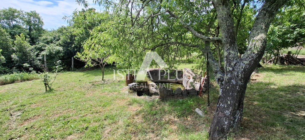 Istra, Buje, Momjan, samostojna kamnita hiša na zelo mirni lokaciji!