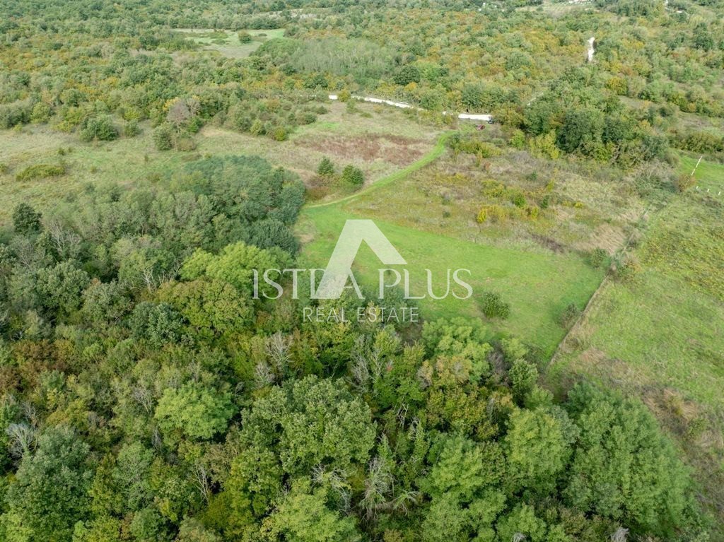 Istra, Poreč 4527 m2 kmetijsko zemljišče - Istra
