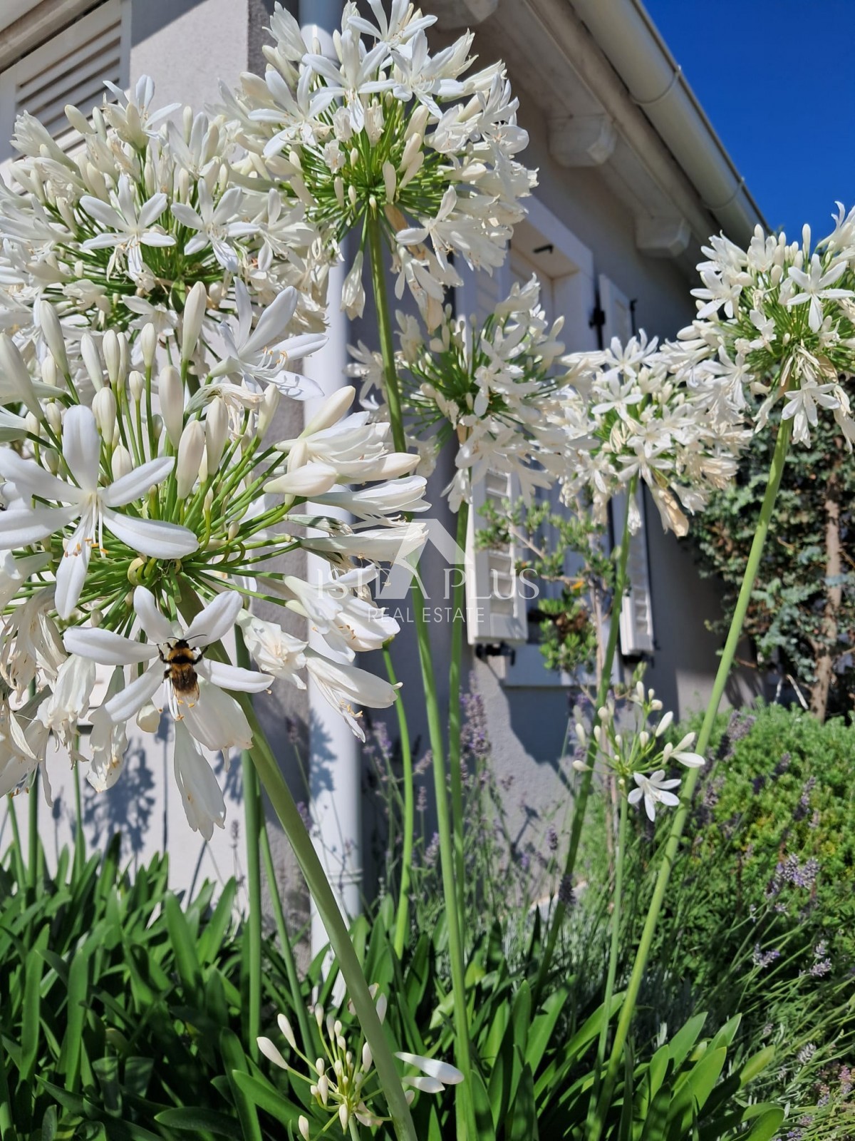 Эксклюзив! Уникальная вилла, сочетающая в себе качество, функциональность и расположение с открытым видом на море.