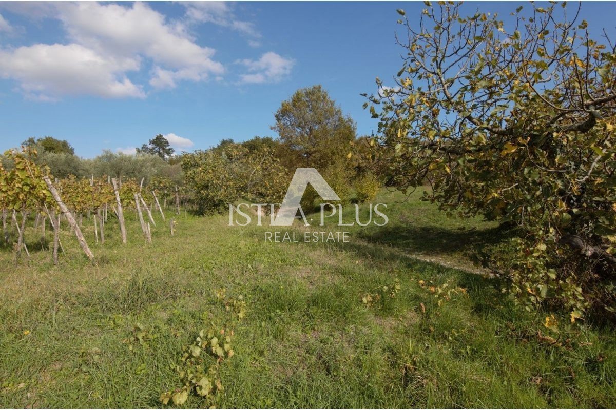 BUZET OKOLICA - PRODAMO ZAZIDLJIVO PARCELO S KMETIJSKIM ZEMLJIŠČEM