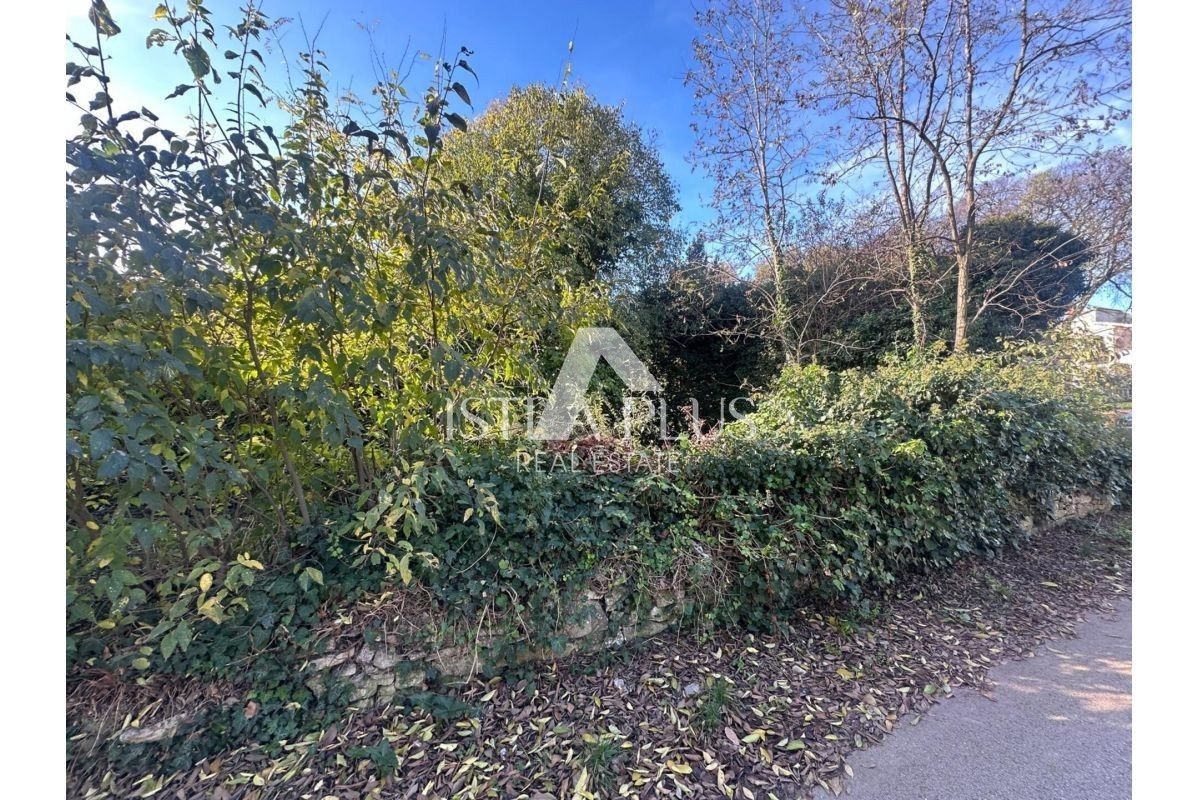 Istra, Tar-Vabriga - dve kamniti hiši za adaptacijo na veliki gradbeni parceli z investicijskim potencialom