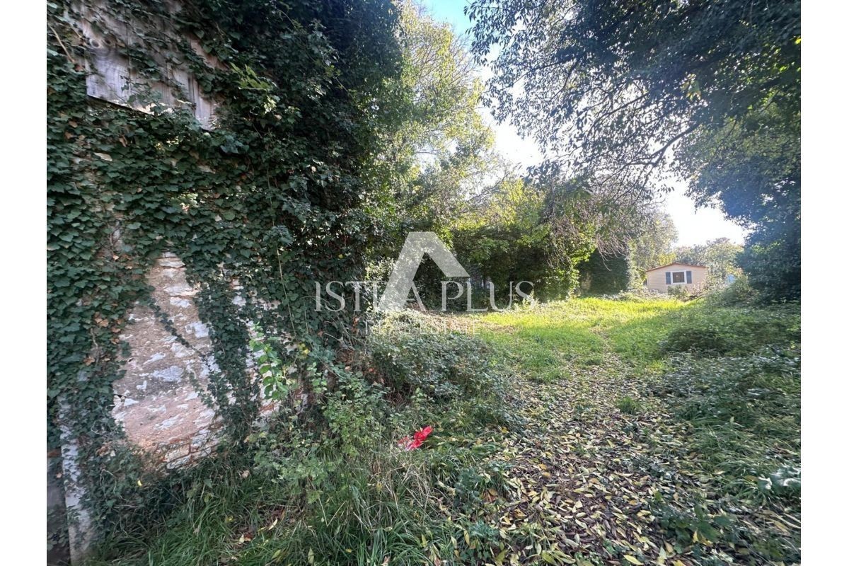 Istra, Tar-Vabriga - dve kamniti hiši za adaptacijo na veliki gradbeni parceli z investicijskim potencialom