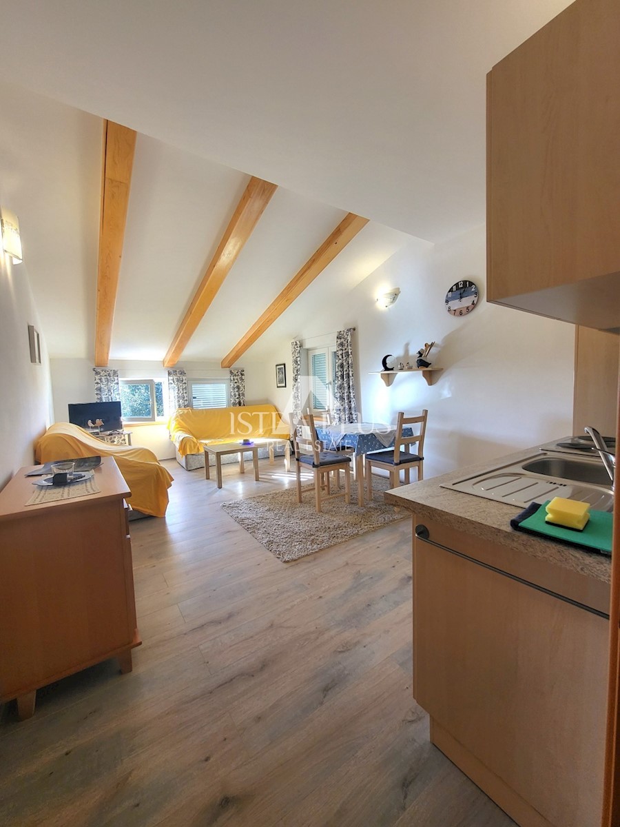 PRILOŽNOST! Lep, velik apartma z dvoriščem - panoramski pogled na morje!!