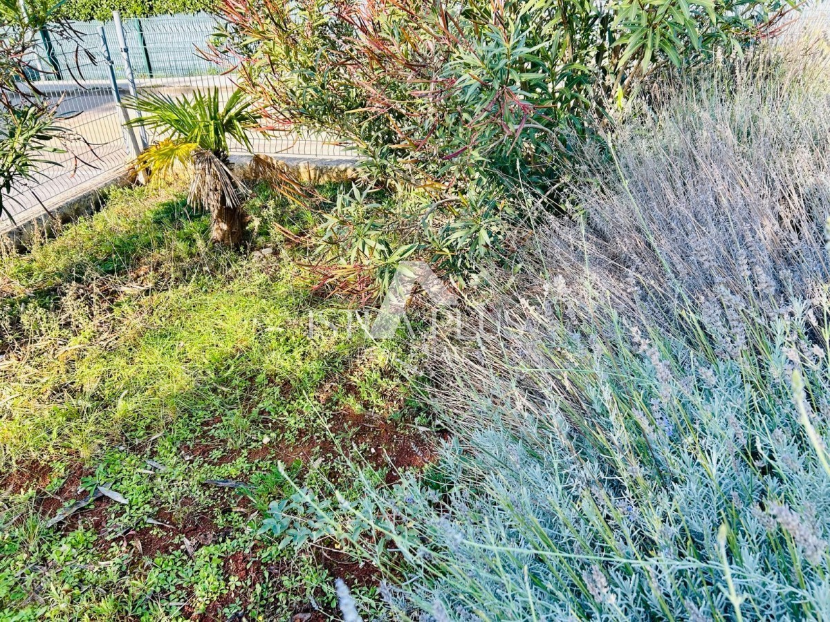 Istra, Novigrad - Apartma v bližini centra 600m, pritličje z 2 spalnicama