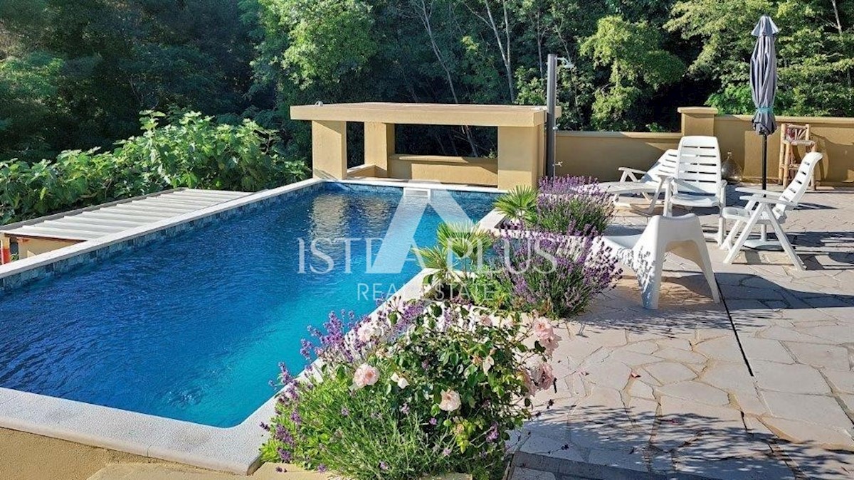Poreč - okolica, hiša z 2 apartmajema, bazenom in pogledom na morje