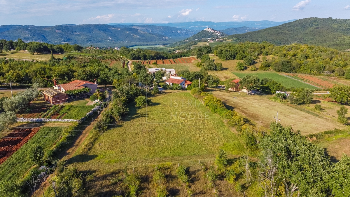 Motovun, okolica, zazidljiva parcela s pogledom na Motovun