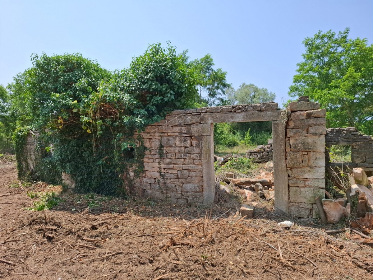 Bale, okolica, hiša za prenovo z veliko parcelo