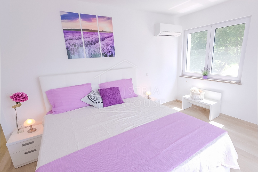 Svetvinčenat, vila s 4 spalnicami in bazenom