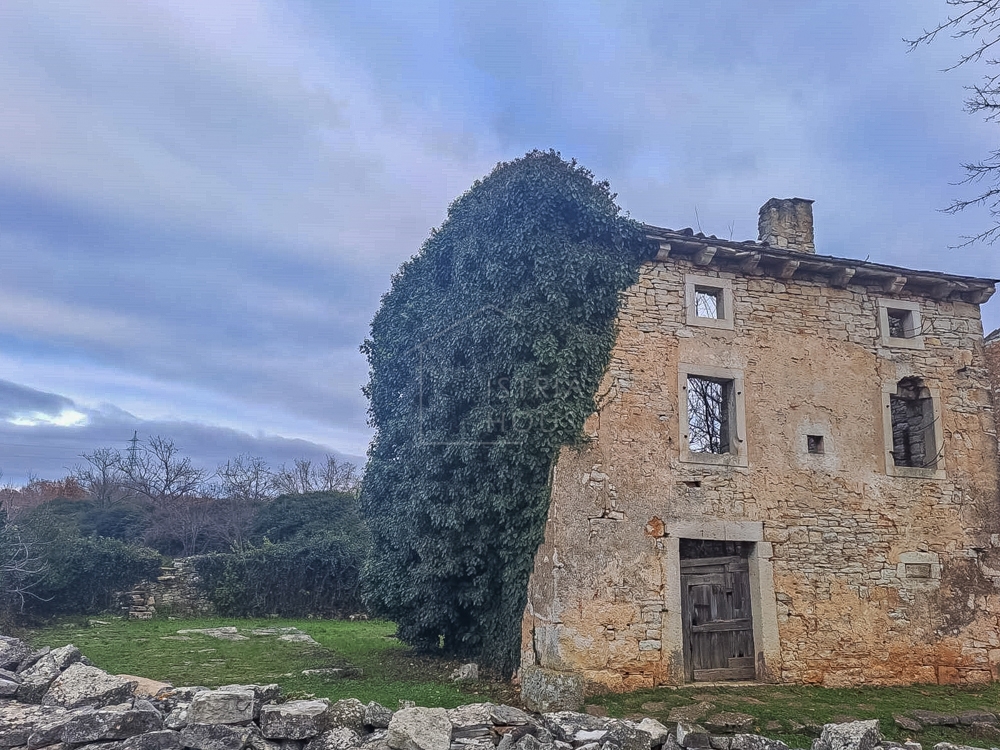 Svetvinčenat, okolica, hiša za obnovo z zemljiščem