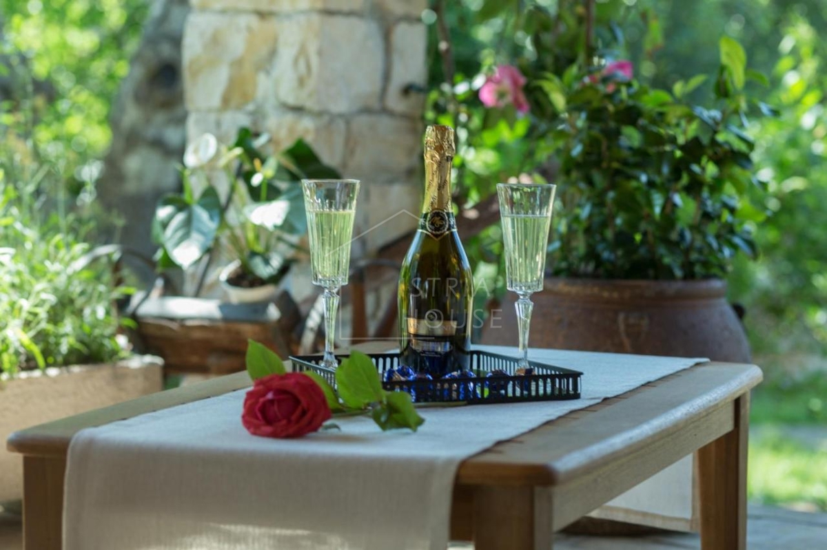 Svetvinčenat, OPPORTUNITY, Two houses with a large garden