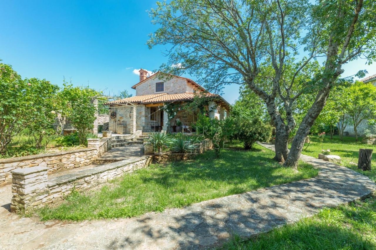 Svetvinčenat, OPPORTUNITY, Two houses with a large garden