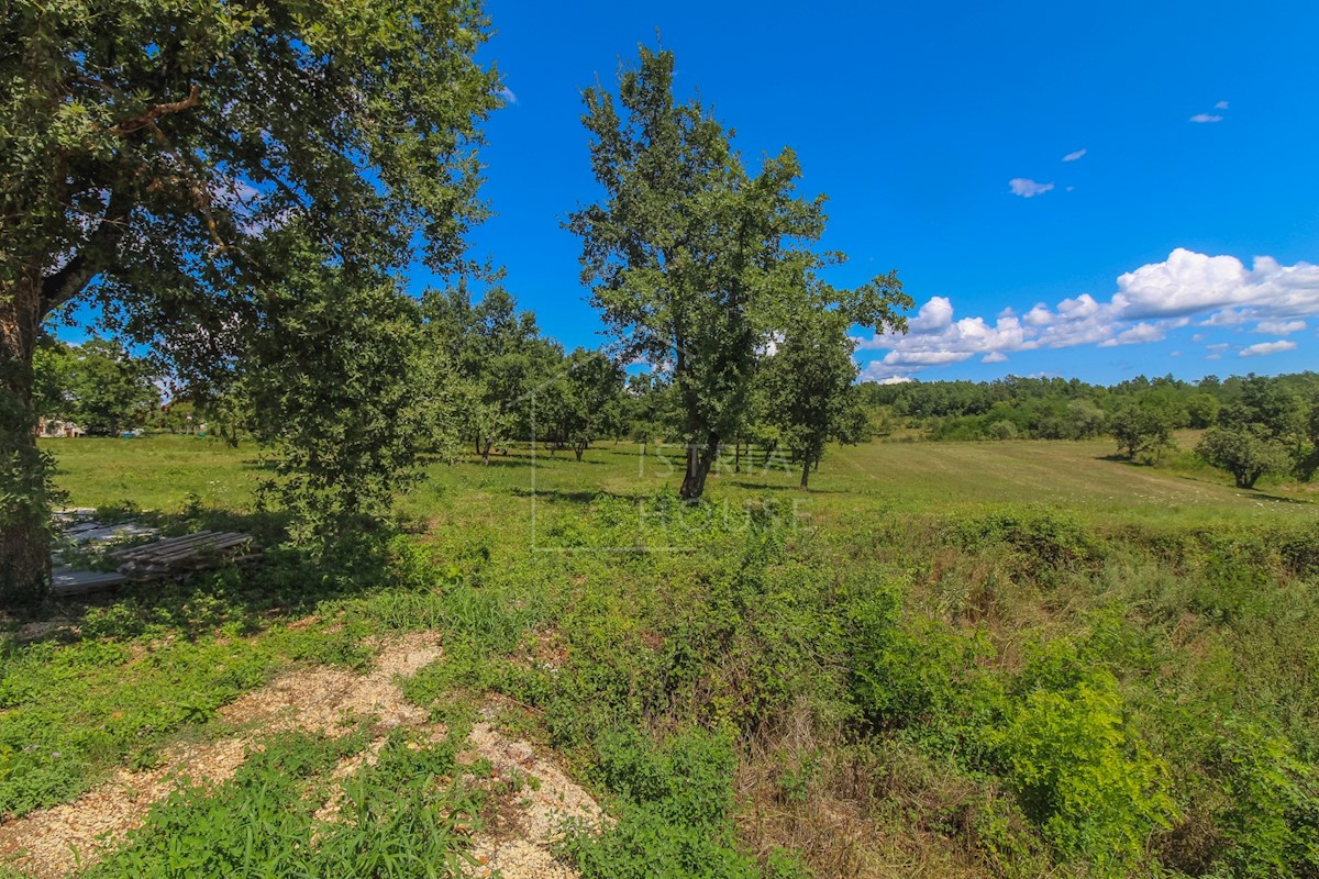 Poreč, okolica, gradbeno zemljišče z odprtim pogledom