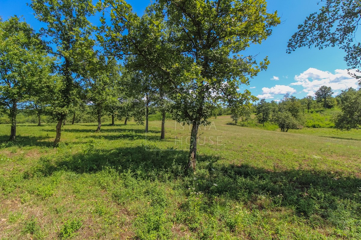 Poreč, okolica, gradbeno zemljišče z odprtim pogledom