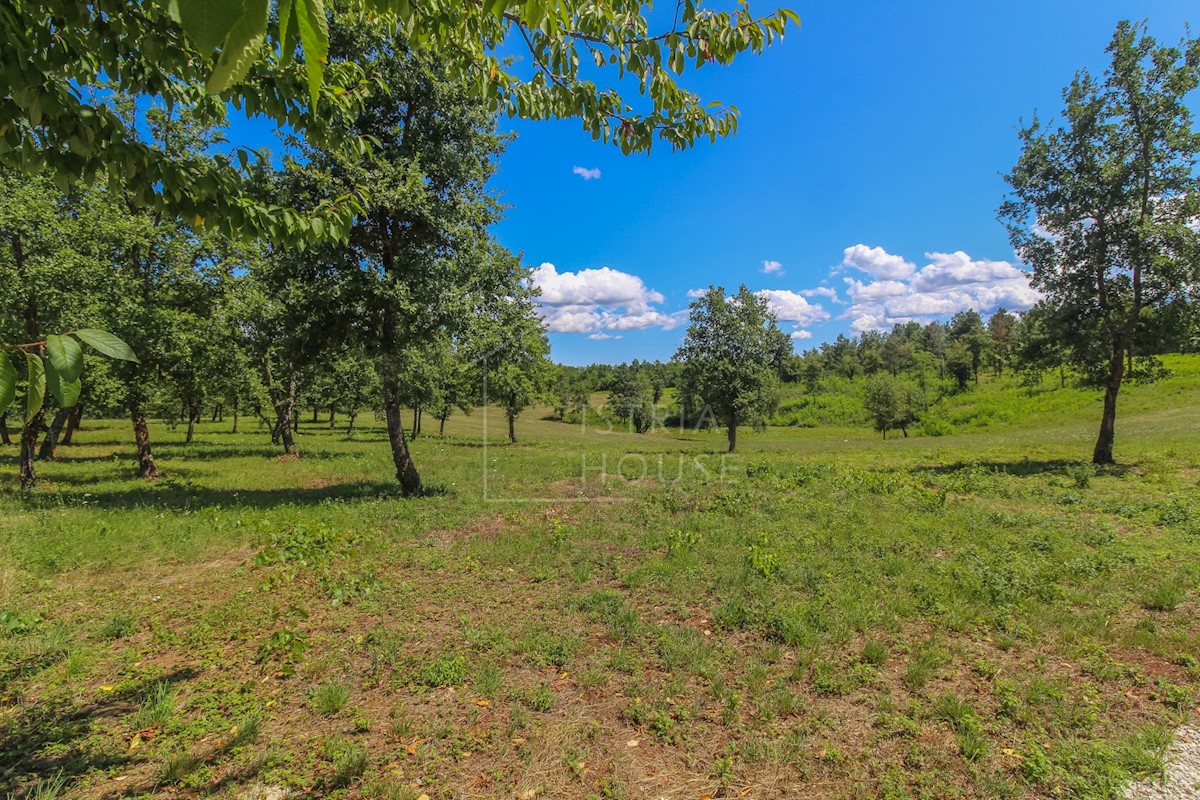 Poreč, okolica, gradbeno zemljišče z odprtim pogledom