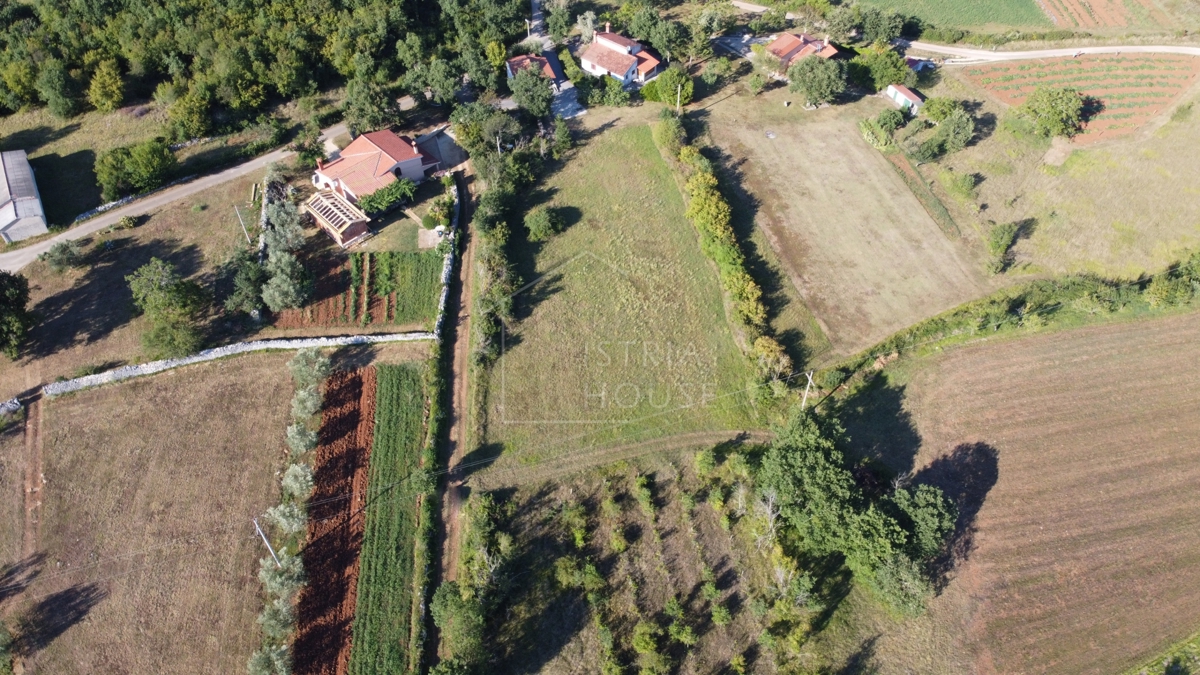 Motovun, okolica, zemljišče na koncu gradbenega območja