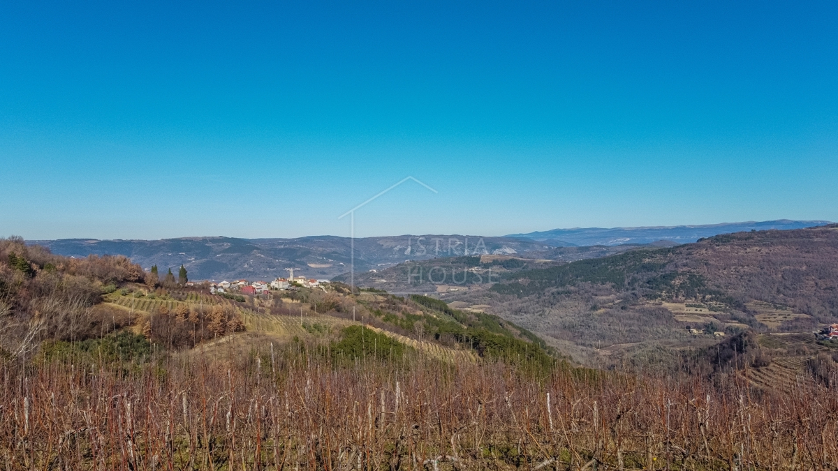 Motovun, okolica, gradbeno zemljišče z razgledom