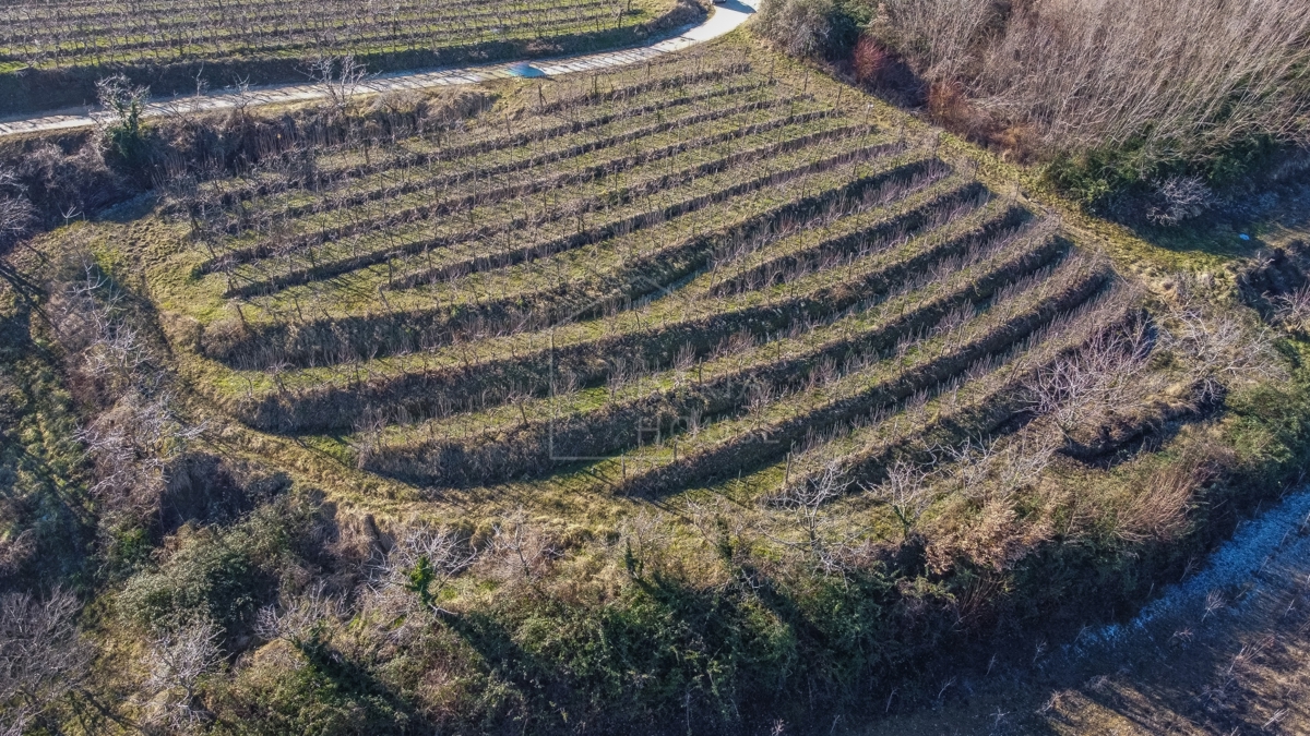 Motovun, okolica, gradbeno zemljišče z razgledom