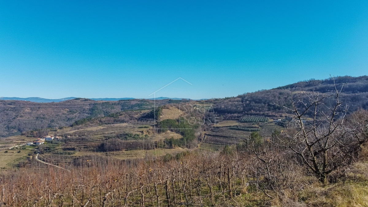Motovun, okolica, gradbeno zemljišče z razgledom