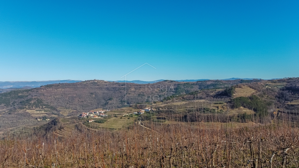 Motovun, okolica, gradbeno zemljišče z razgledom