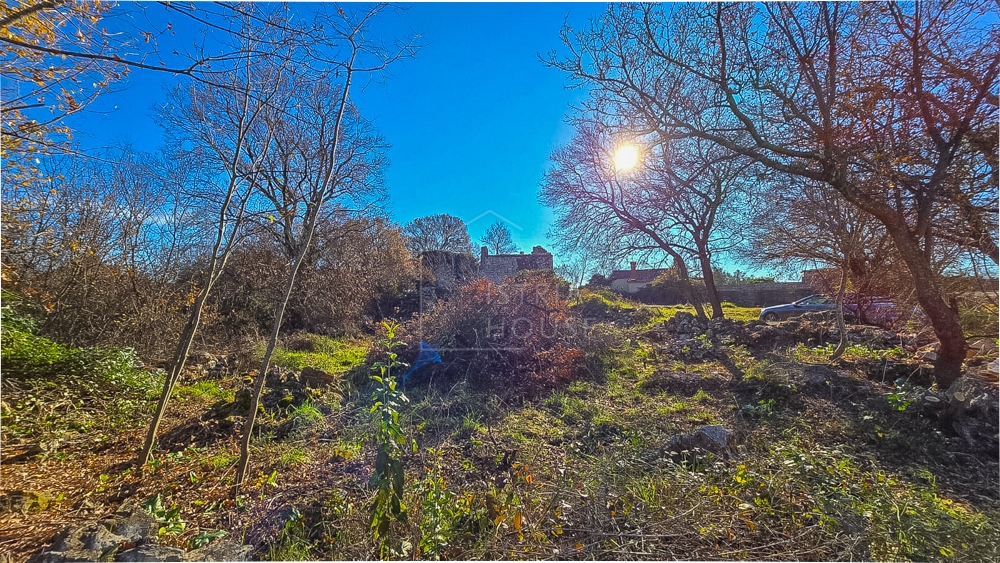 Bale, privlačno zemljišče v središču mesta