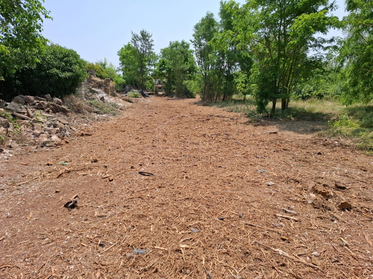 Bale, okolica, veliko zemljišče s hišo za prenovo