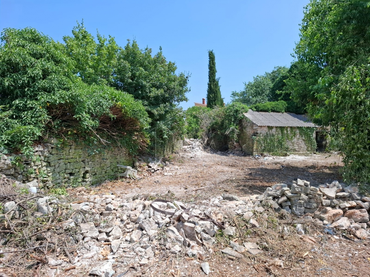 Bale, okolica, veliko zemljišče s hišo za prenovo