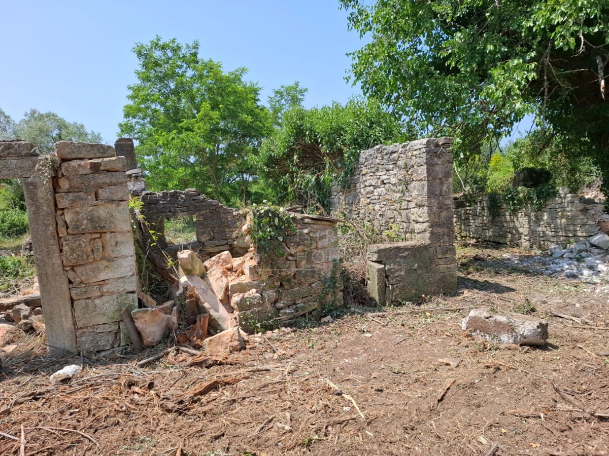 Bale, okolica, veliko zemljišče s hišo za prenovo