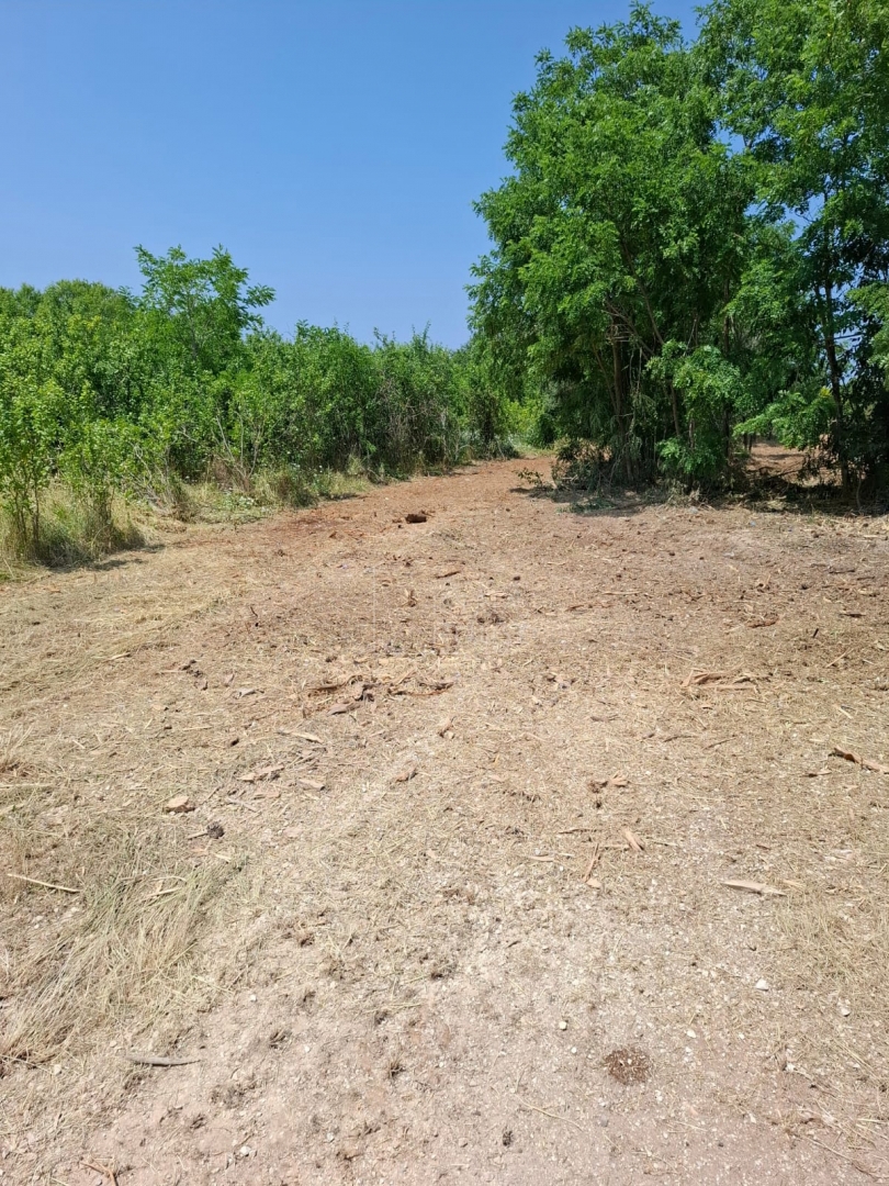 Bale, okolica, veliko zemljišče s hišo za prenovo