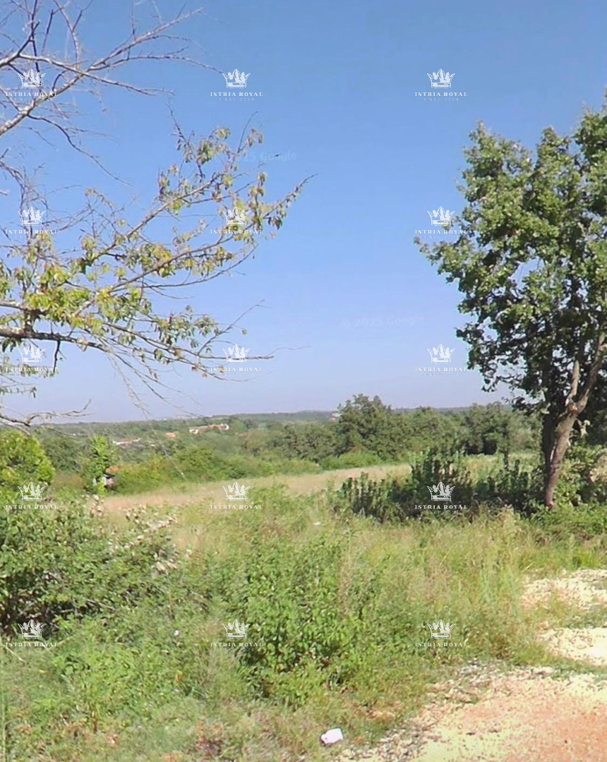 Istra, Murine, gradbena parcela 567 m2, prodaja