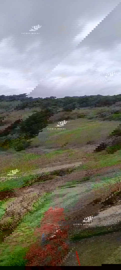 Istra, Pula, Vidikovac, prodaja trosobnega stanovanja za adaptacijo z odprtim pogledom na mesto.