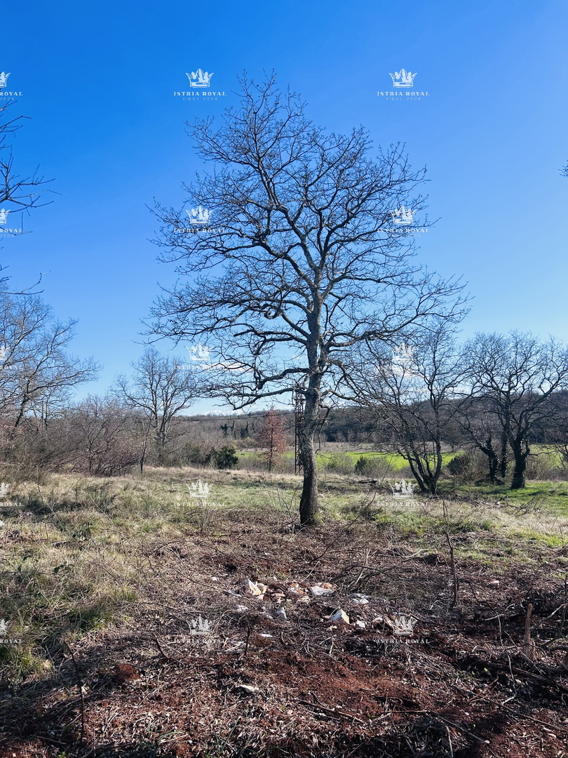 Istra, Savudrija, Crveni Vrh, gradbena parcela 750 m2