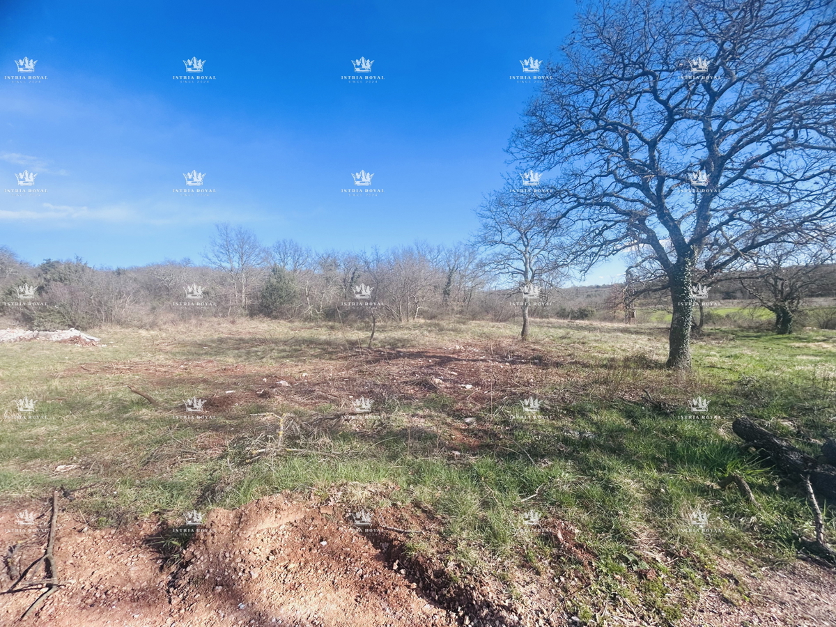 Istra, Savudrija, Crveni Vrh, gradbena parcela 750 m2