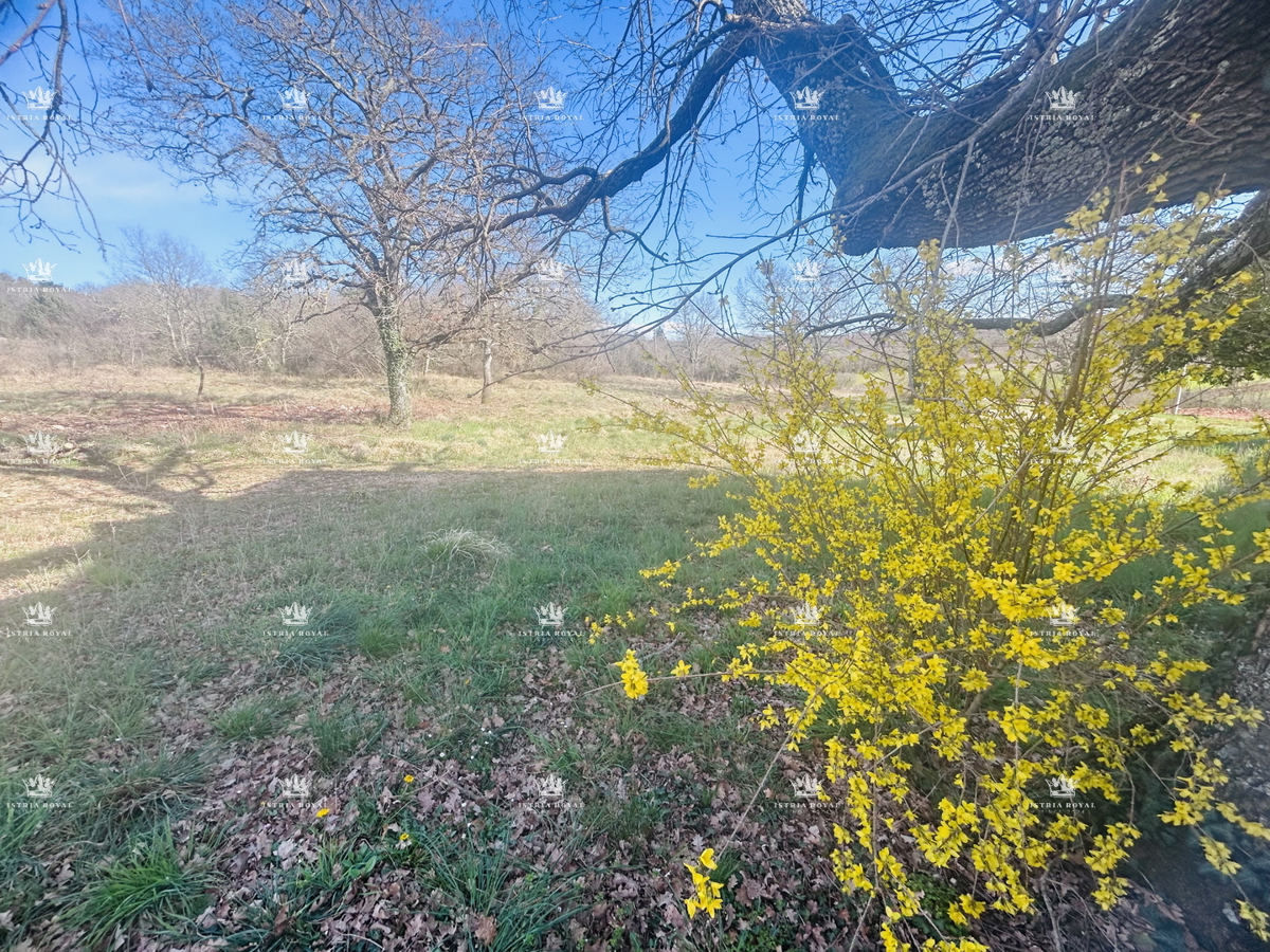 Istra, Savudrija, Crveni Vrh, gradbena parcela 750 m2