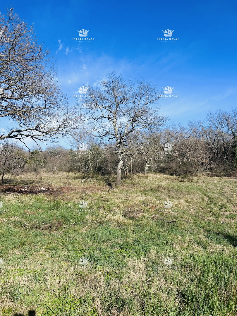 Istra, Savudrija, Crveni Vrh, gradbena parcela 750 m2