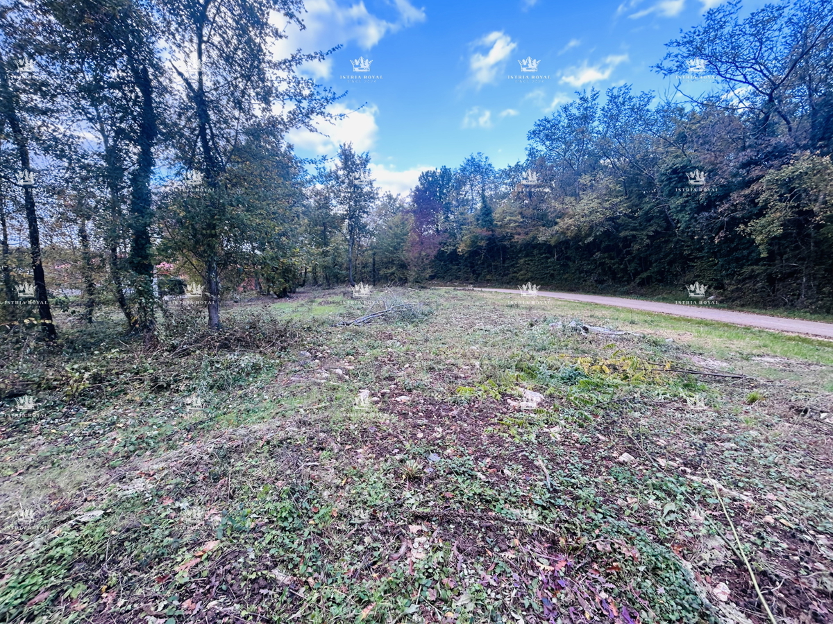 Istra, Karojba – Gradbeno zemljišče 1450 m² s projektom in gradbenim dovoljenjem