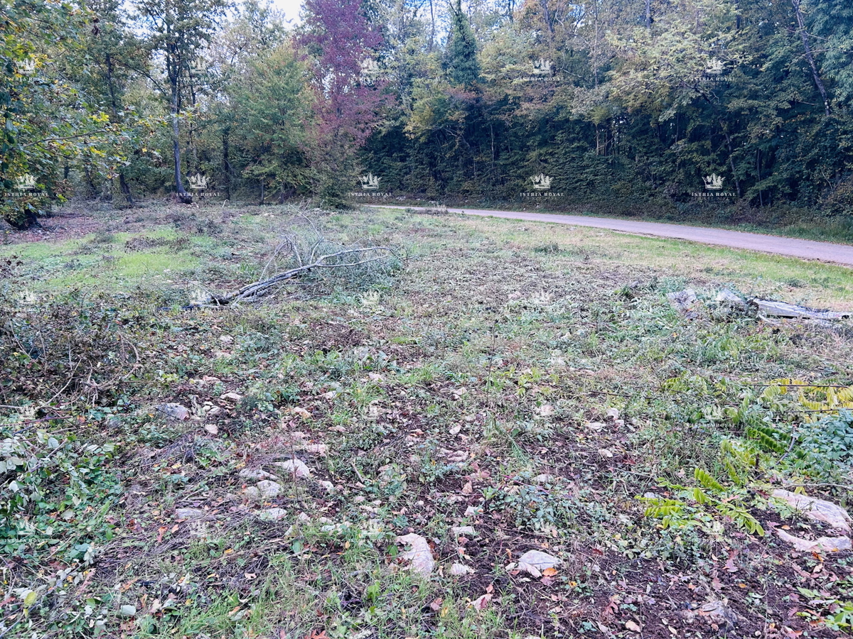 Istra, Karojba – Gradbeno zemljišče 1450 m² s projektom in gradbenim dovoljenjem