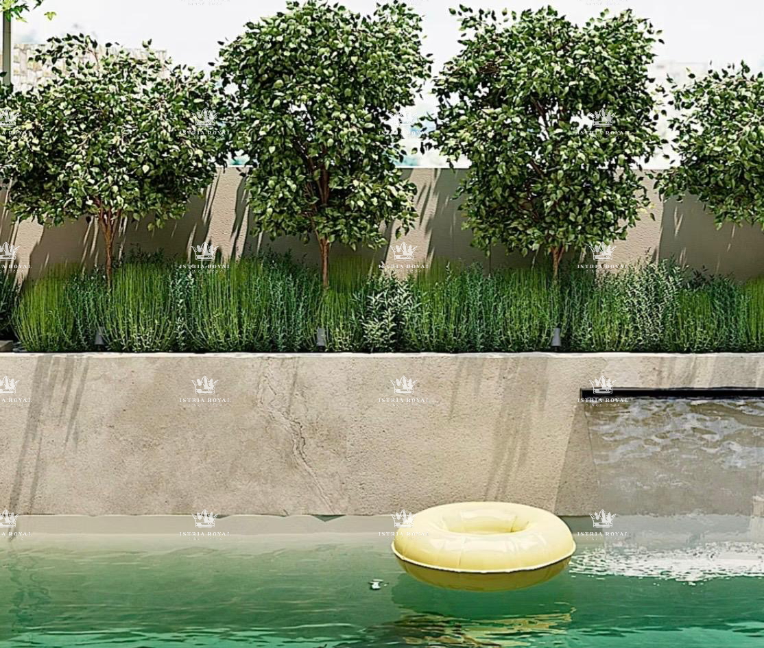 Istra, Kastelir, Rojci, obnovljena stara istrska hiša 183 m2 z bazenom, zemljišče 153 m2, pogled na morje, vinska klet, savna