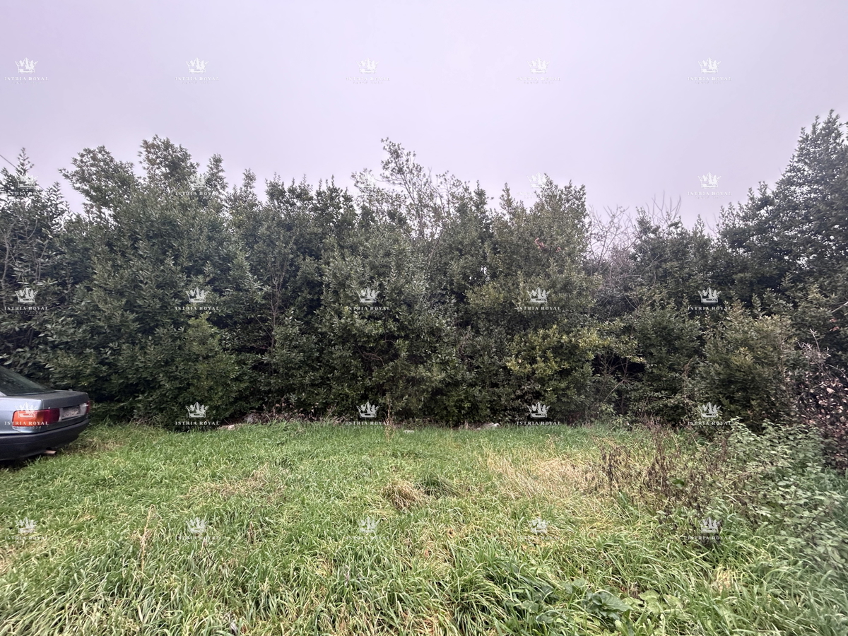 Istra, Materada, kmetijska parcela, gozd, vinograd 25.264 m2