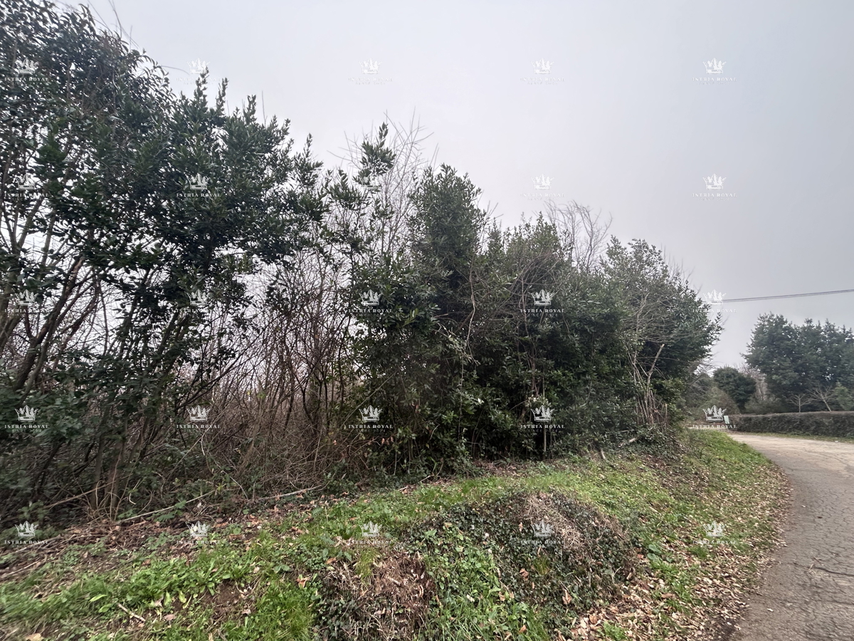 Istra, Materada, kmetijska parcela, gozd, vinograd 25.264 m2