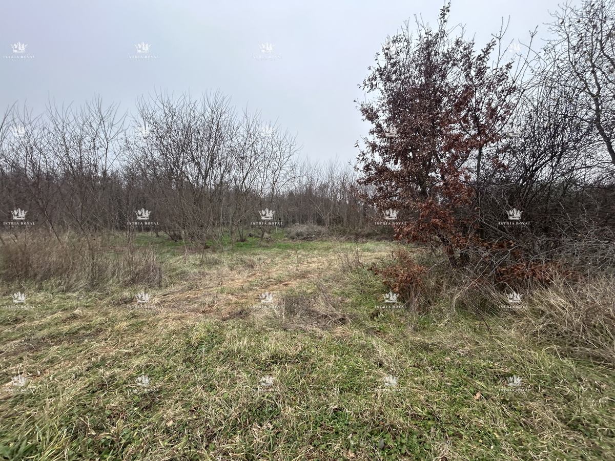 Istra, Materada, kmetijska parcela, gozd, vinograd 25.264 m2