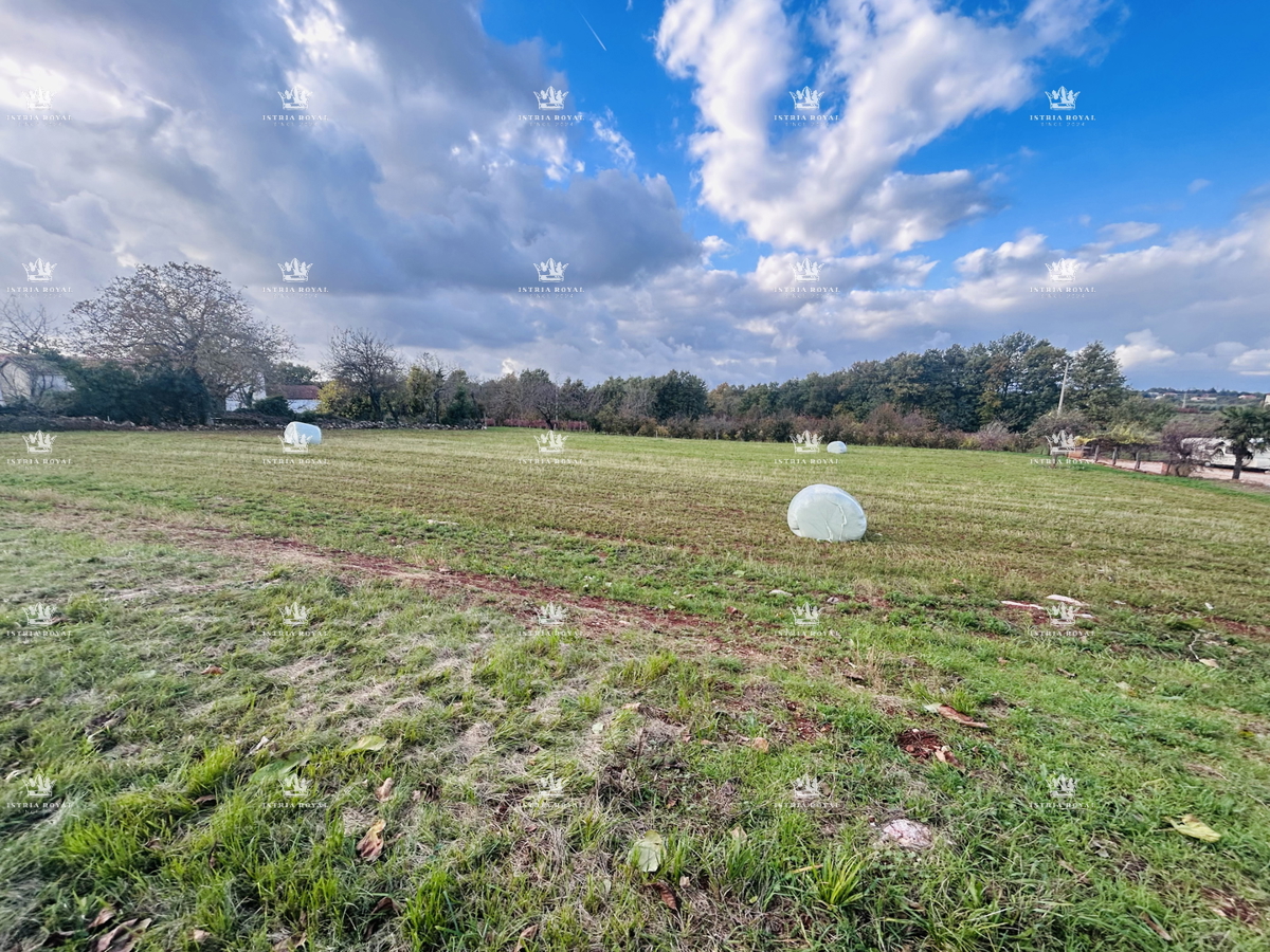 Gradbeno zemljišče 4000 m² naprodaj – okolica Baderne, visoka gradbena dovoljenost, infrastruktura na parceli