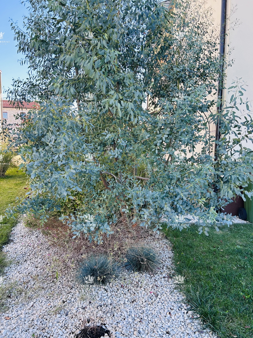 Prostoren stan v Taru – 75 m² + 150 m² terasa in vrt