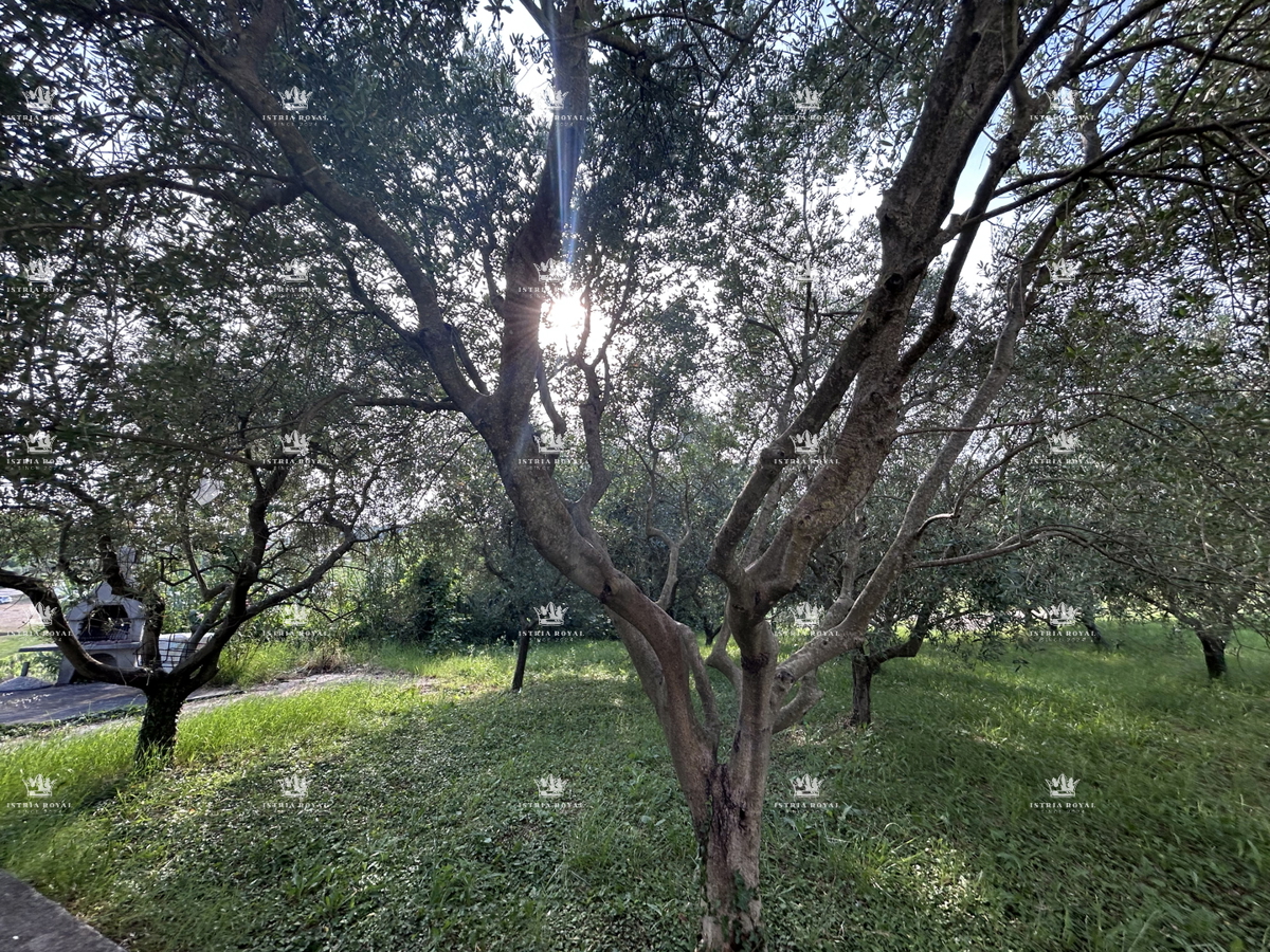 Istra, Poreč, Vizinada, gradbena parcela 605 m2, prodaja, vsa infrastruktura