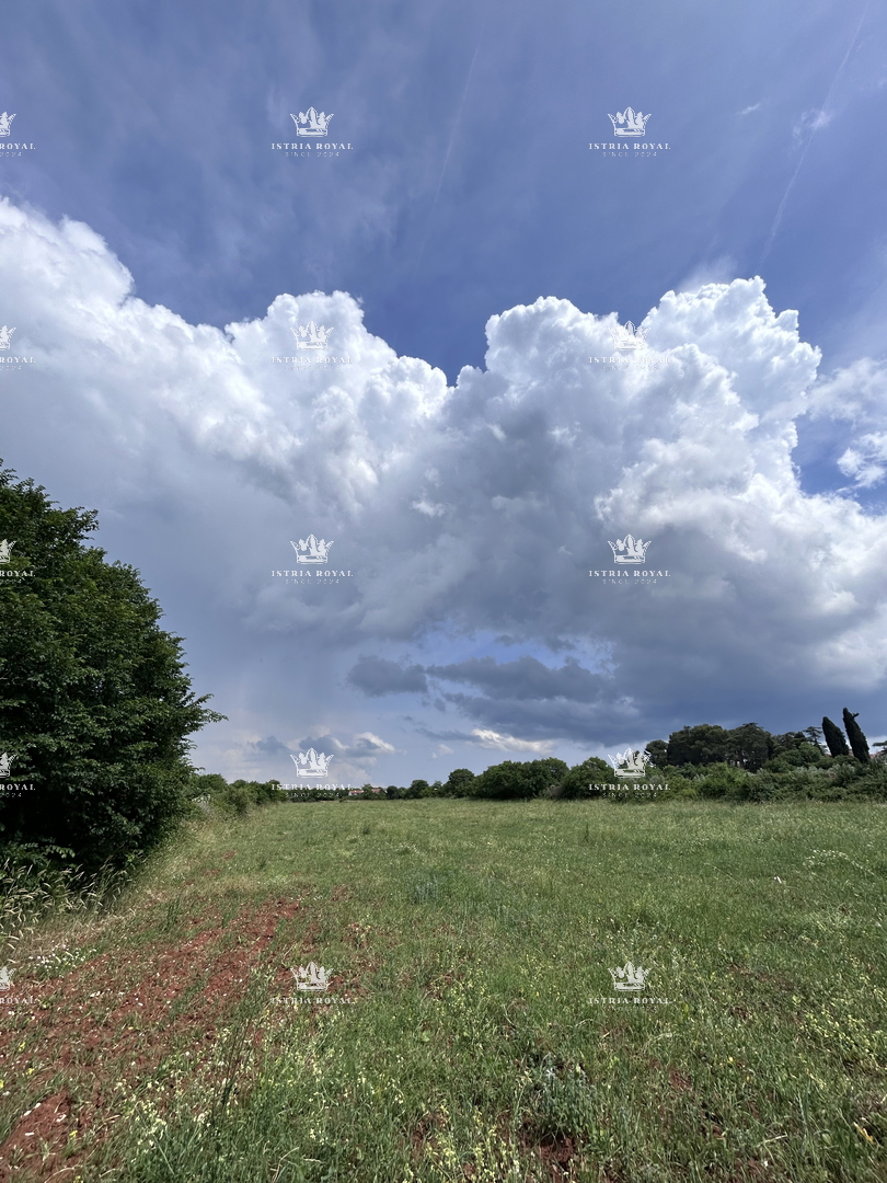 Istra, Vodnjan, gradbena parcela 12.642 m2, stanovanjsko-poslovna cona, center, razgled