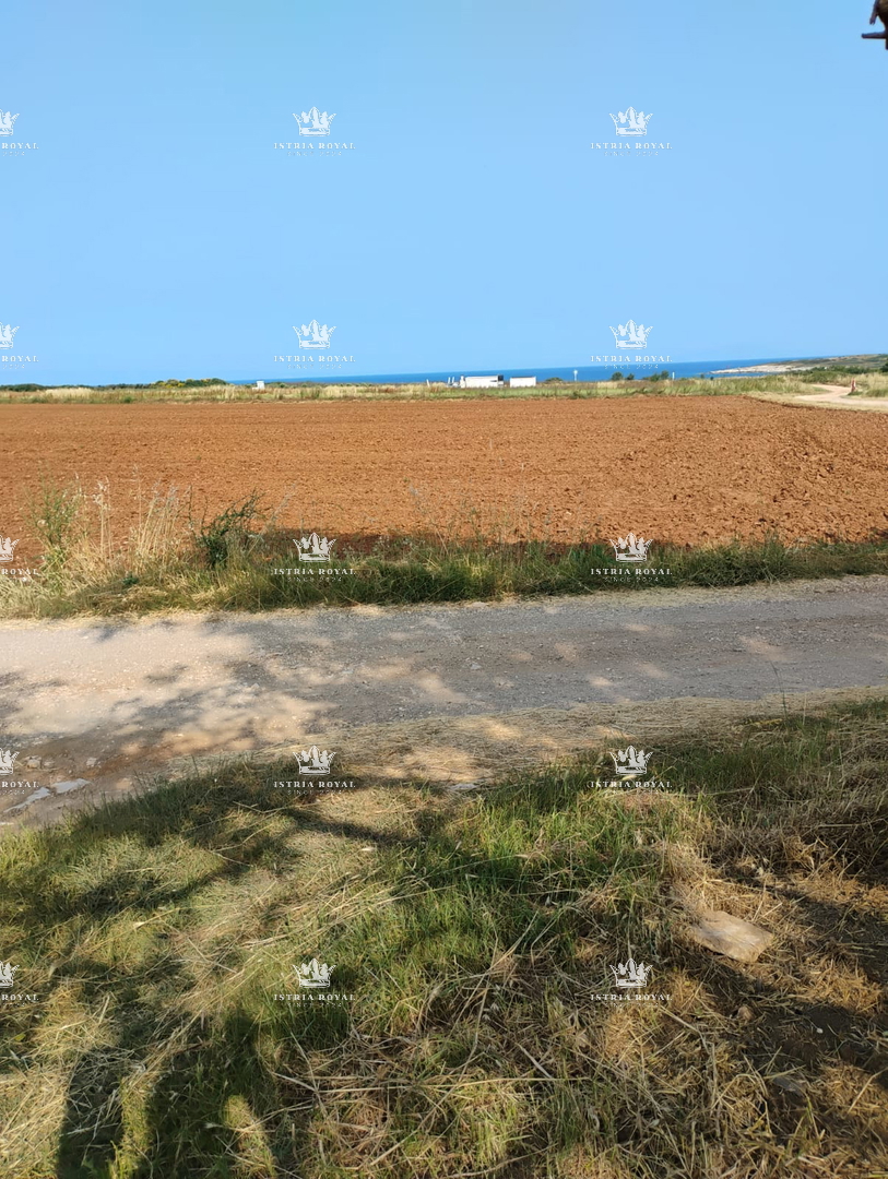 NAPRODAJO – KMETIJSKO ZEMLJIŠČE Z OLJČNIKOM 3674 m² OB MORJU – LIŽNJAN